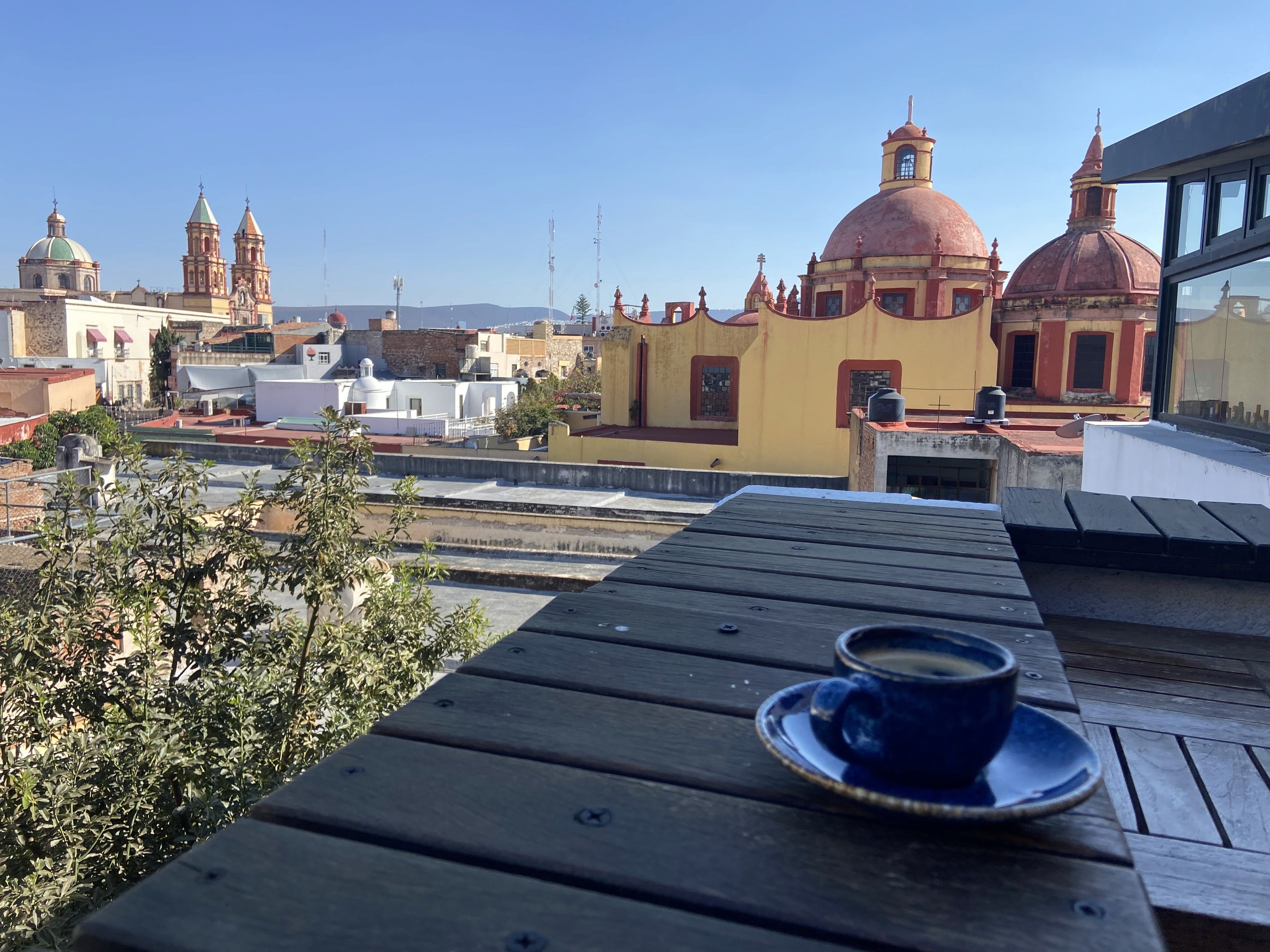 A mockup of Freelio's mobile app