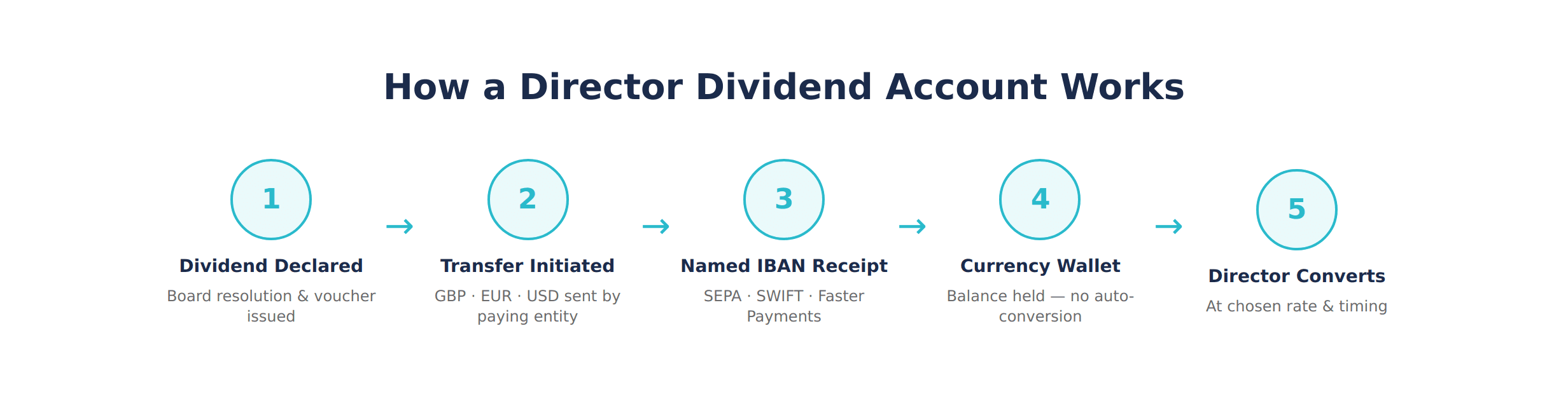How a Director Dividend Account Works