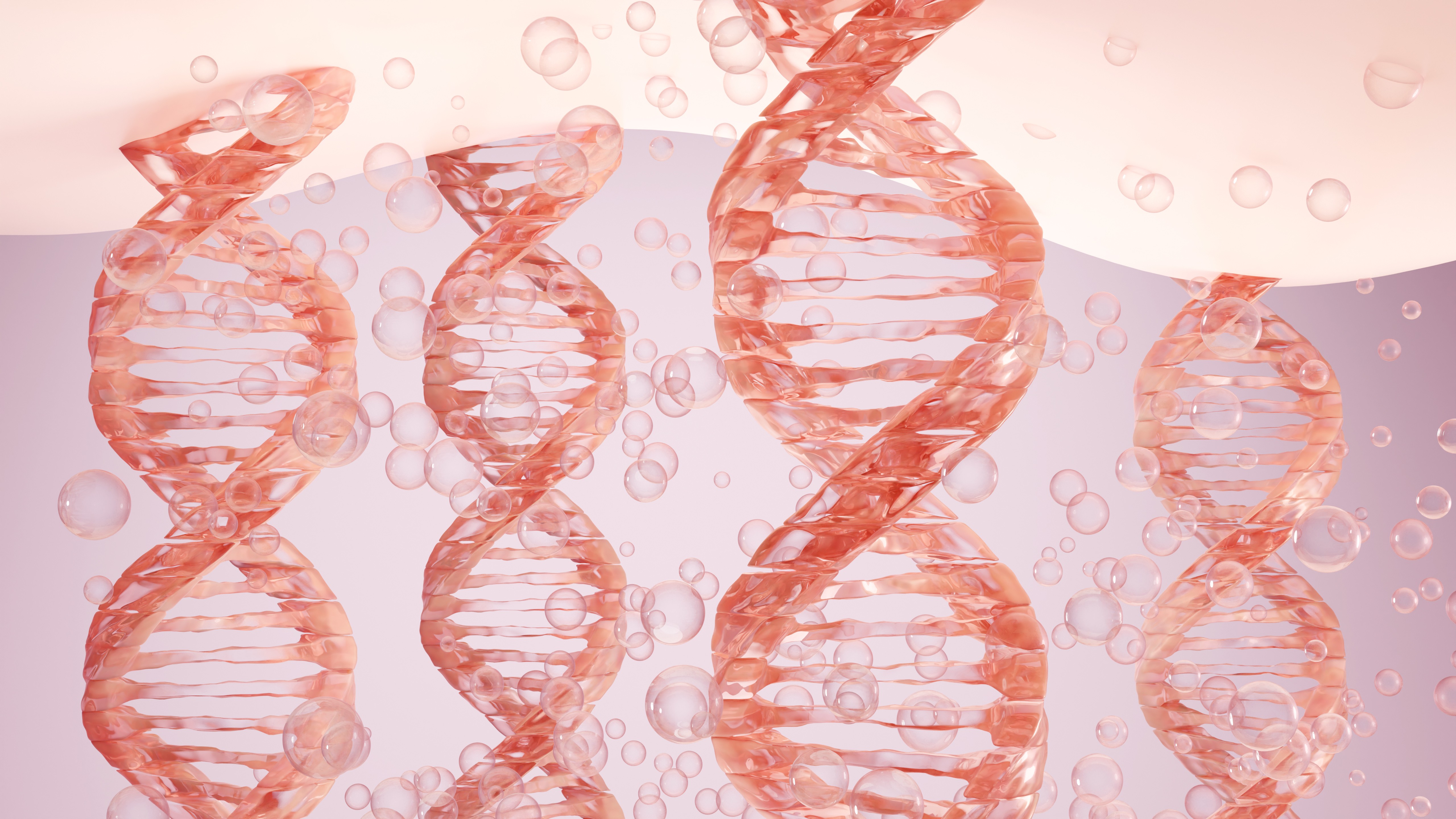 elastin image skin aging process 