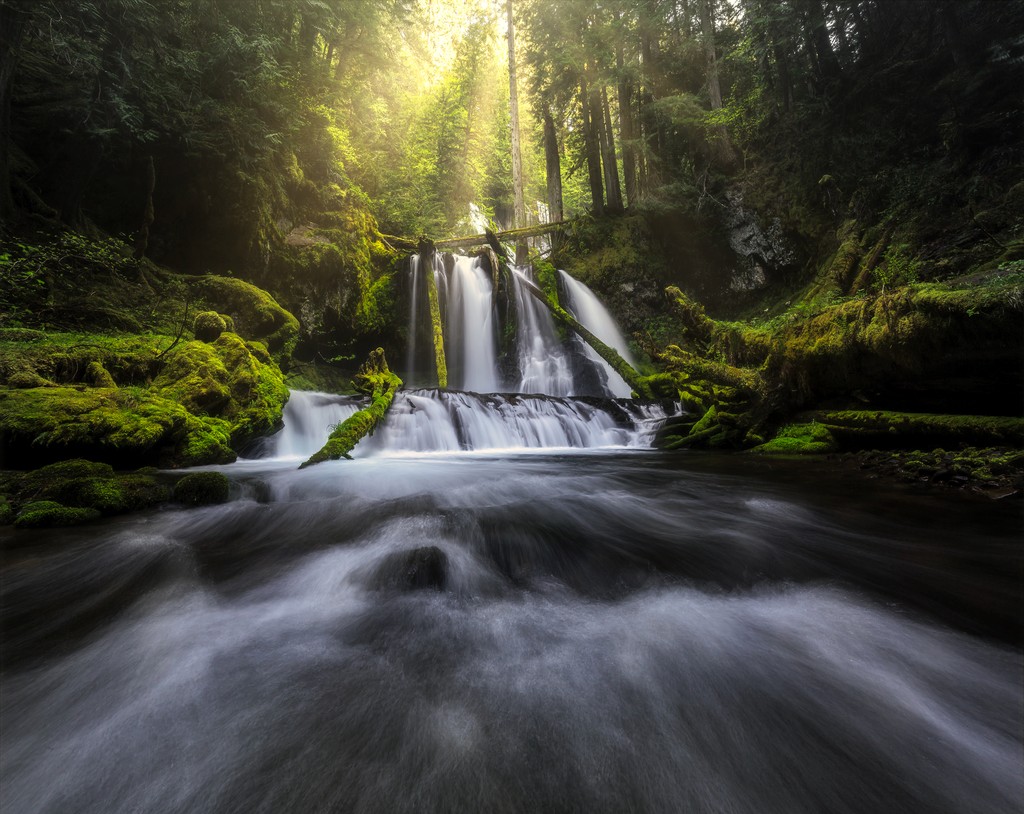 1000 More Suns by Aleksander Dylikowski