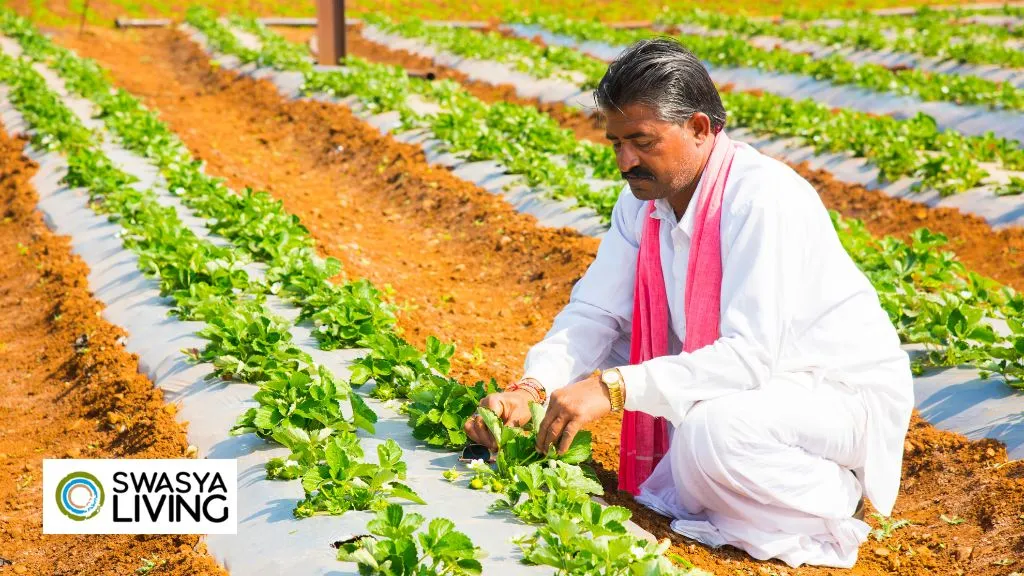 What to Do After Retirement