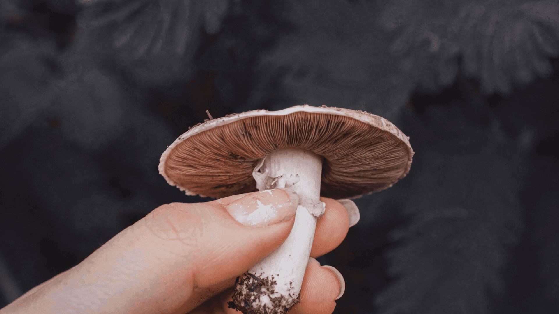 white ceramic angel figurine on black surface