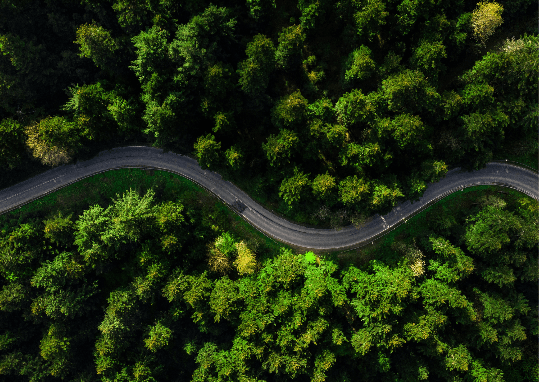 Strategic Hiring Partnerships