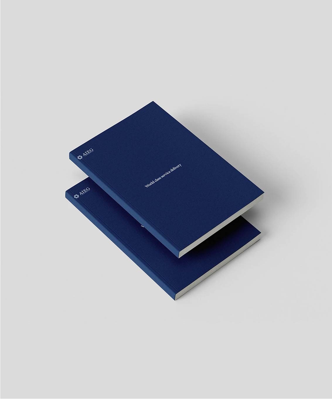Mockup of branded blue and white books placed on a grey background to showcase visual identity