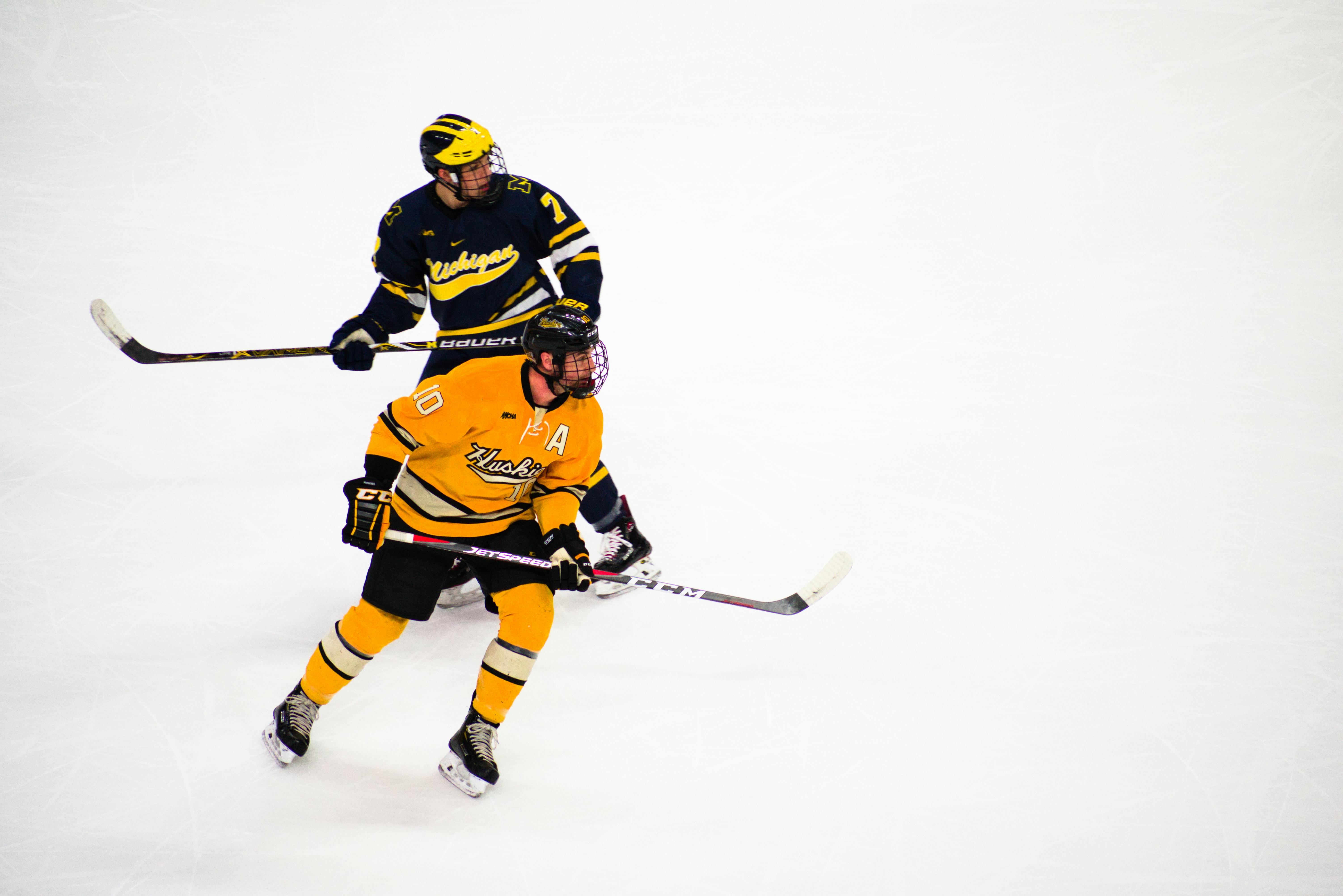 Two competing hockey players on the ice