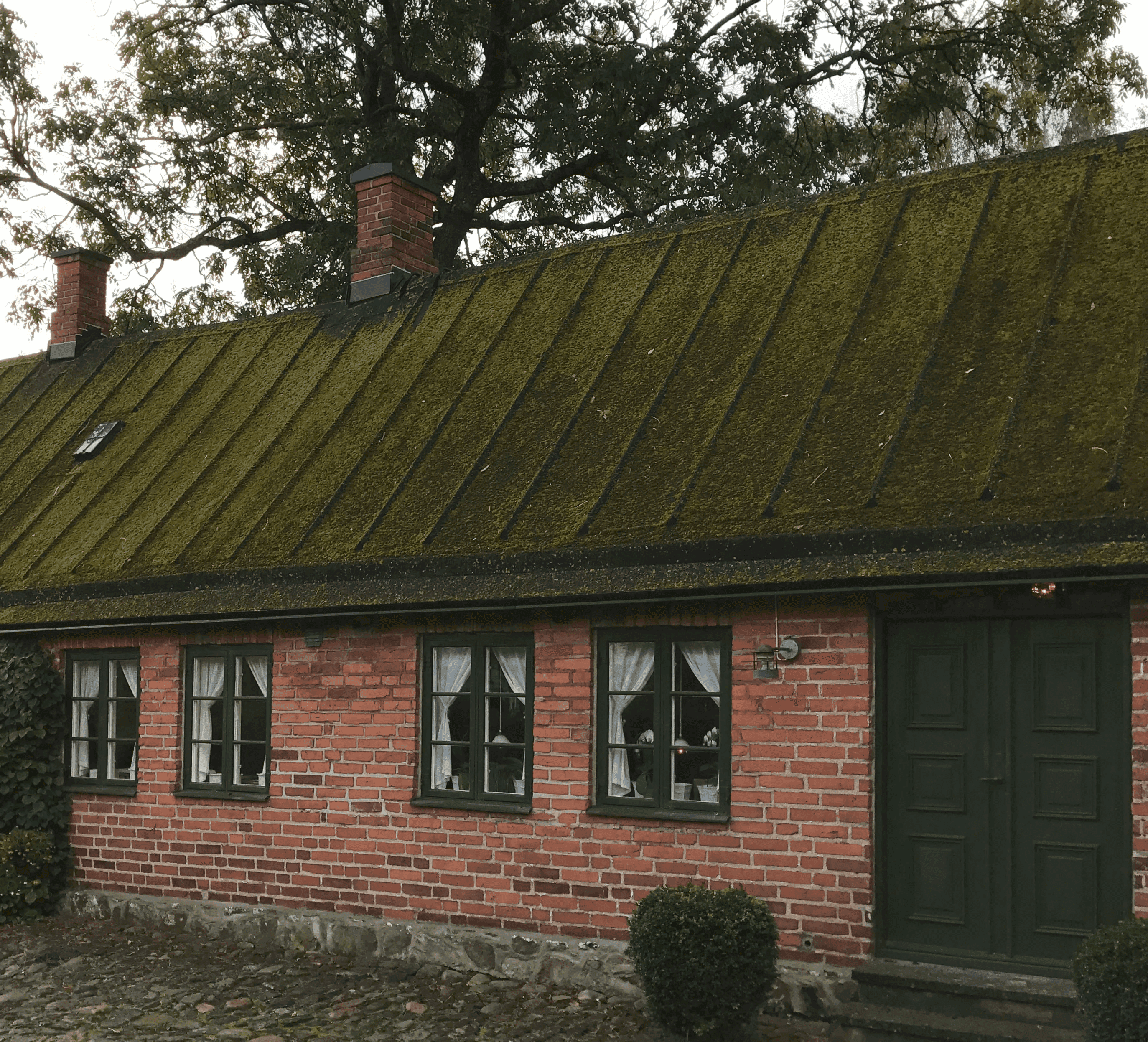 Tak med kraftig mossbeläggning före taktvätt