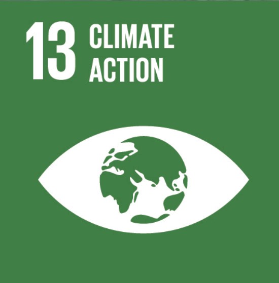 The image represents the thirteenth United Nations Sustainable Development Goal (SDG 13), which is "Climate Action." It features a green background with the text "13 Climate Action" at the top. Below the text, there is a white icon of a stylized eye with a depiction of the Earth in the center, symbolizing global awareness and action on climate change. This goal emphasizes taking urgent action to combat climate change and its impacts.