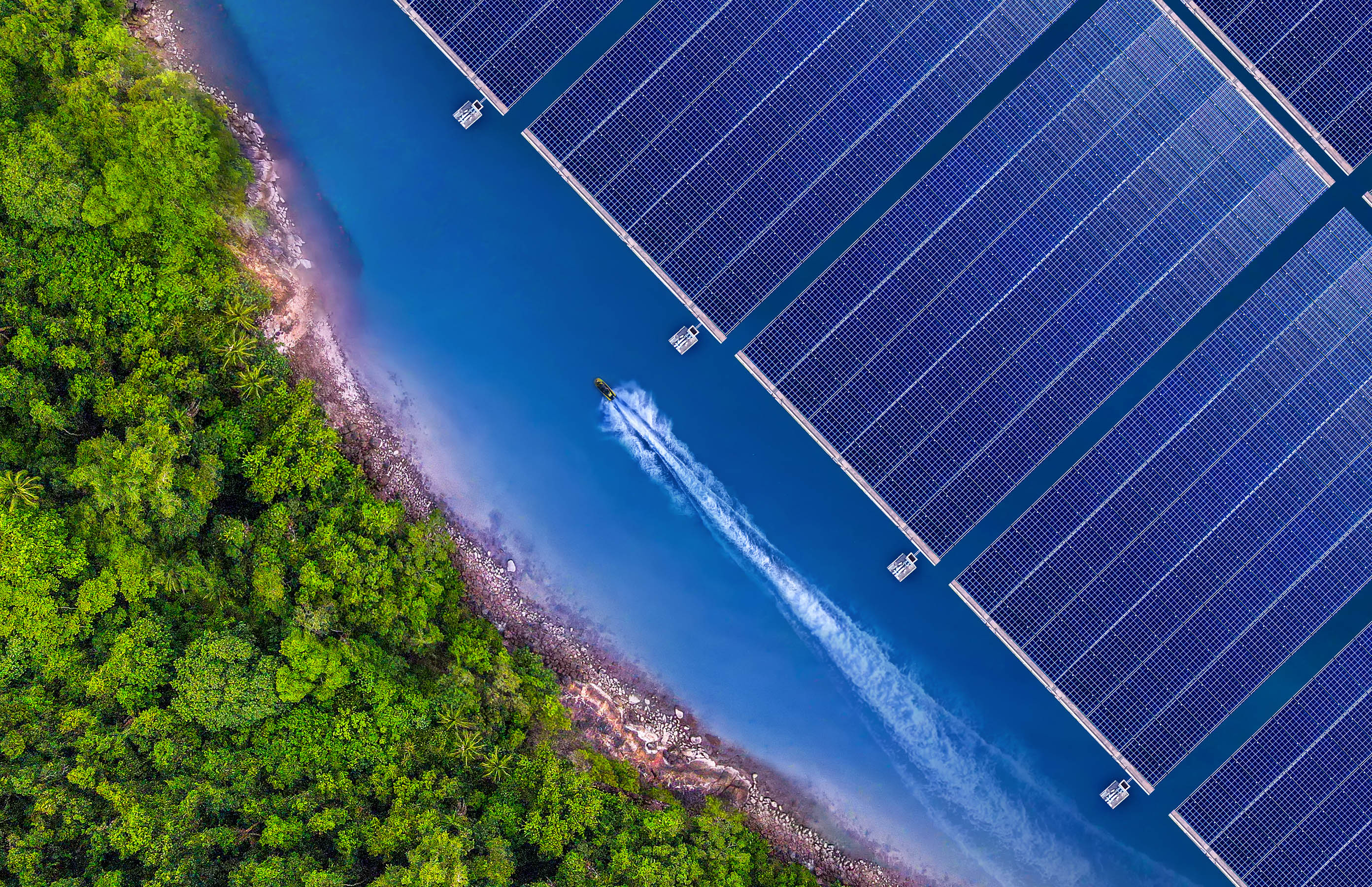 Aerial view of forest, water, and solar panels.