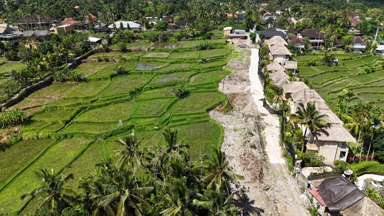 Land plot 3700 m² in Ubud, Leasehold
