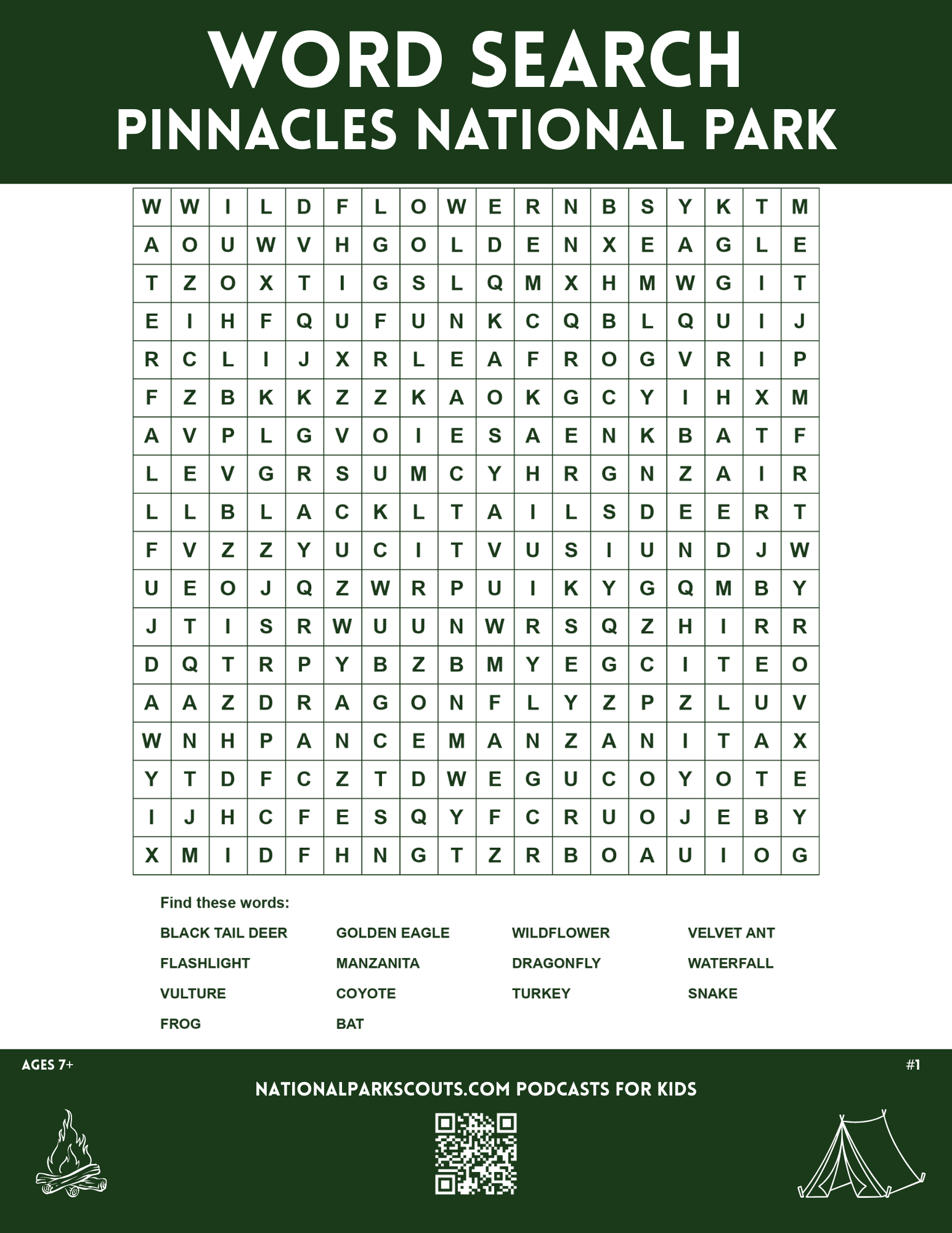 Pinnacles National Park Word Search - Ages 7+