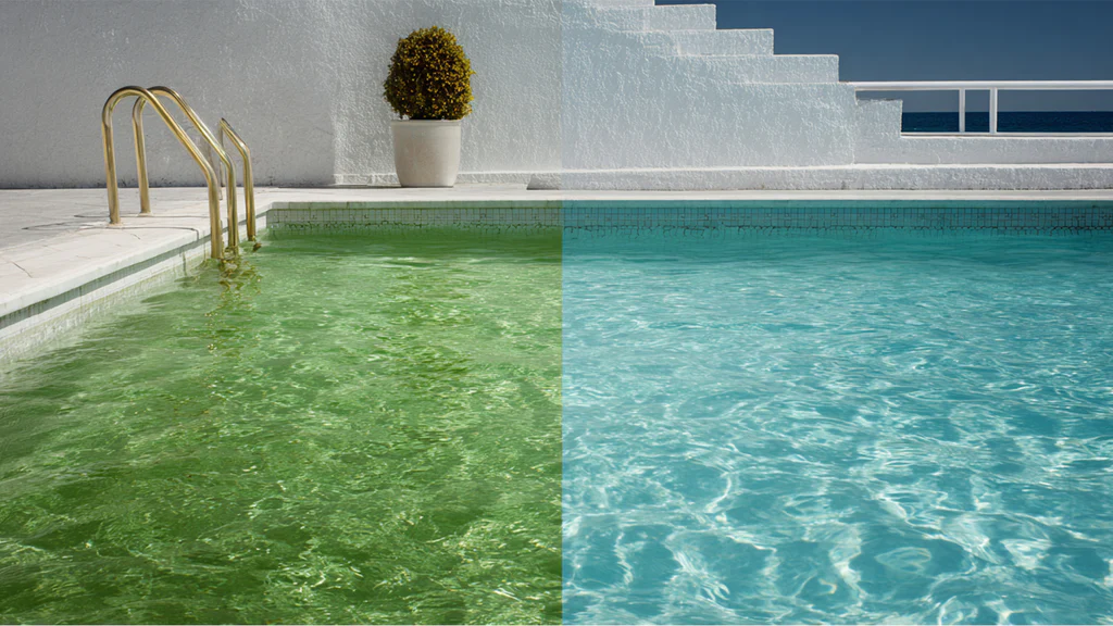 How to Get Rid of Algae in Your Pool