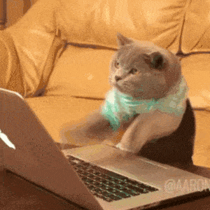 Freelance Enquiry gif