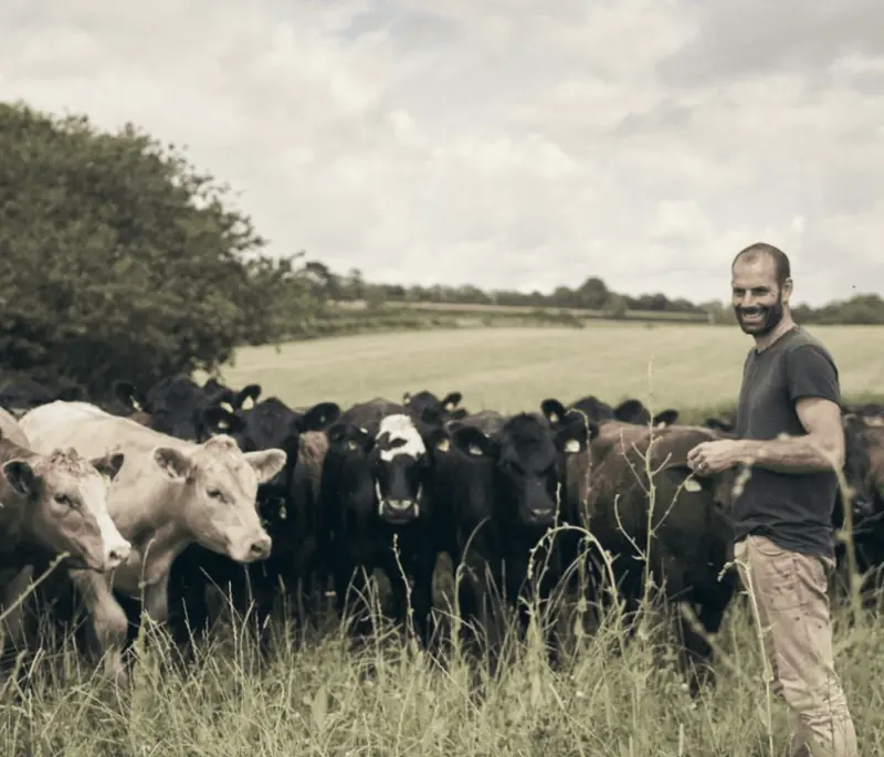 Farmer standing in a field beside a group of cattle.