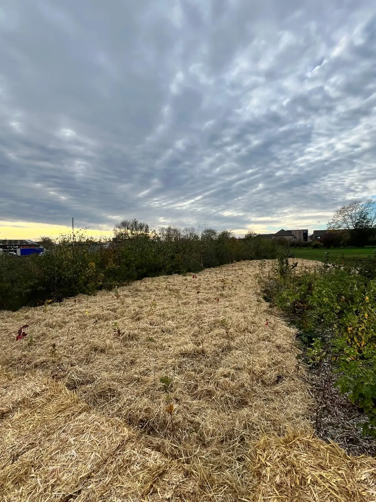 A winding dirt path leads through a lush green landscape under a cloudy sky.
