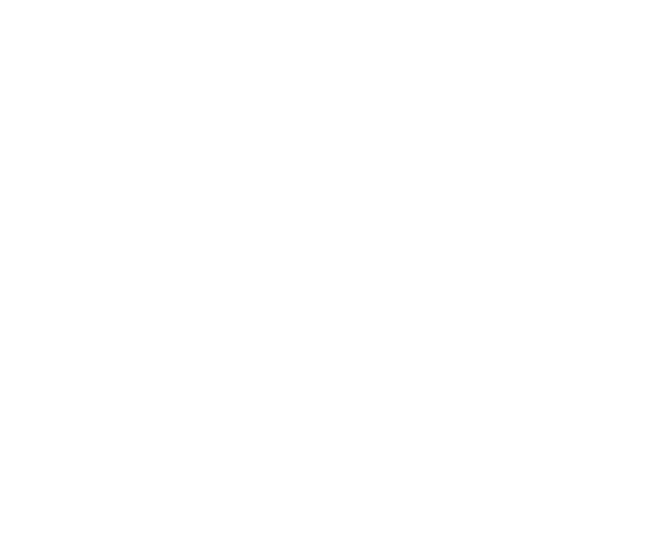 Logo RPP white