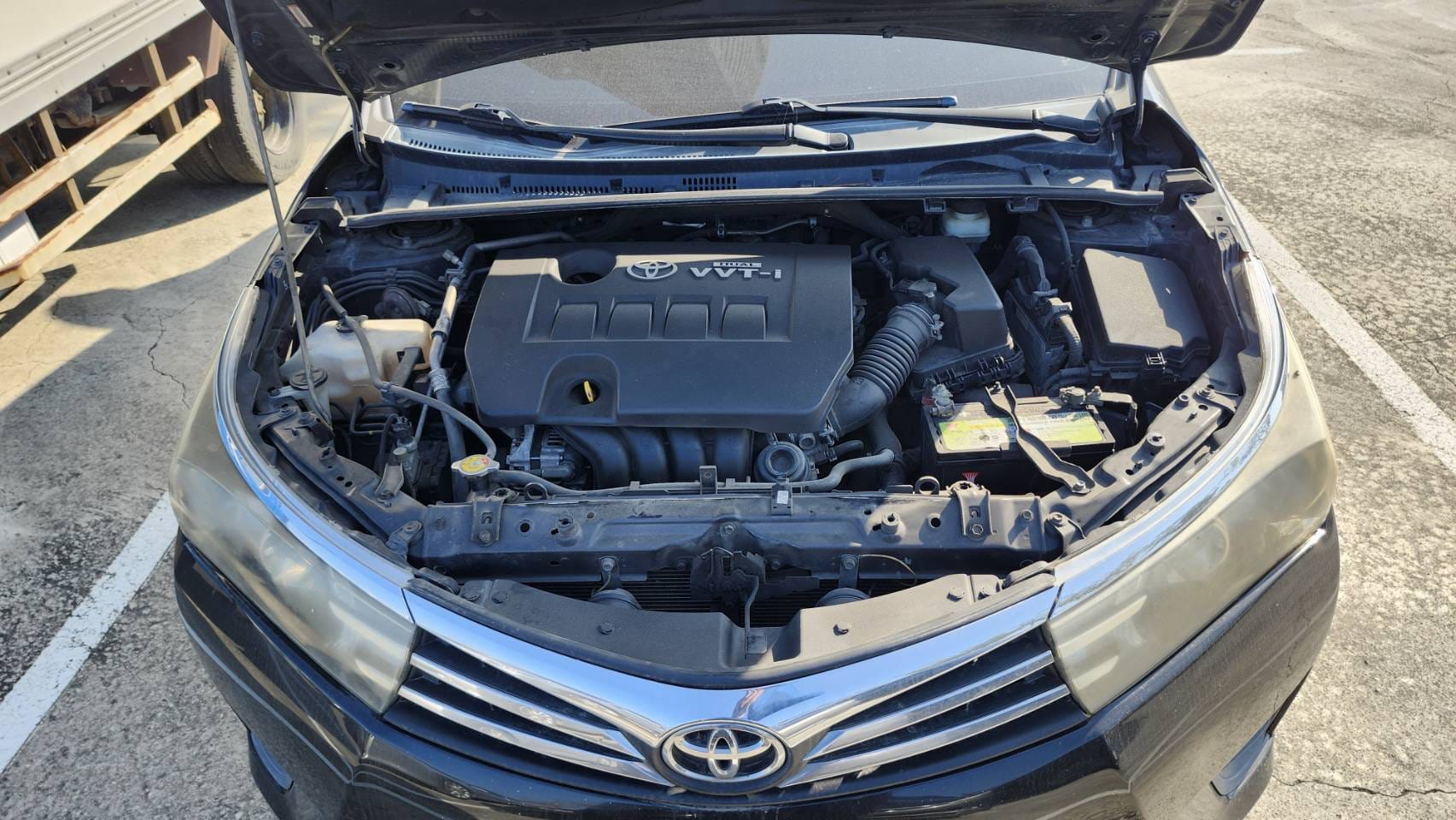 corolla for export from taiwan