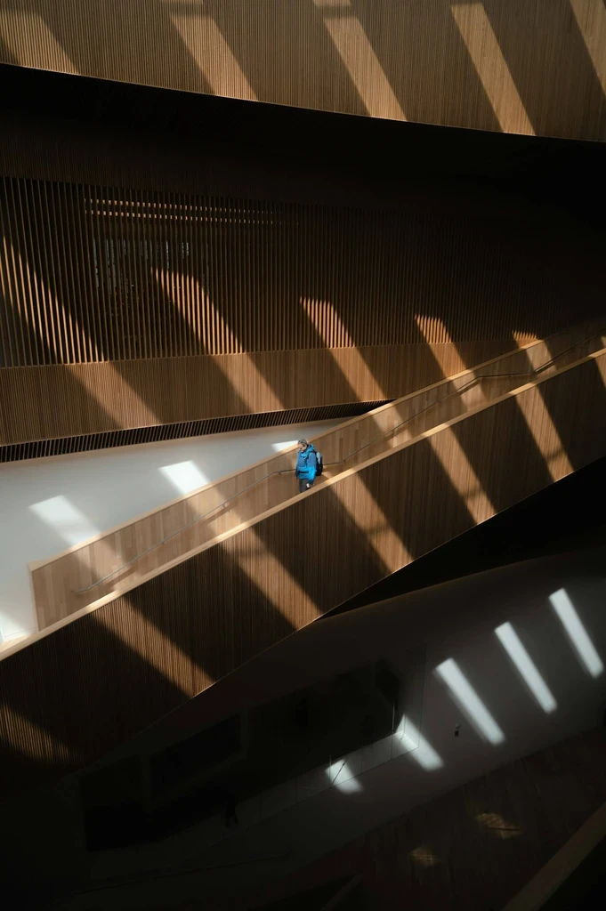 Insights Cover Image