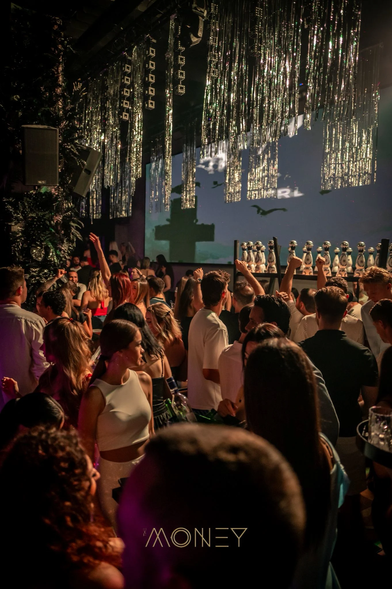 Money Club Belgrade nightlife