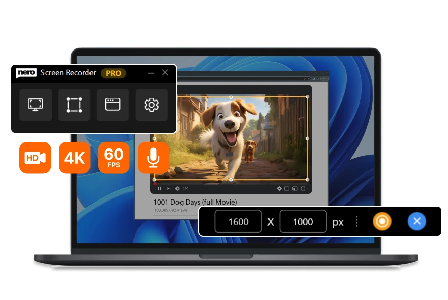 nero dvd player banner