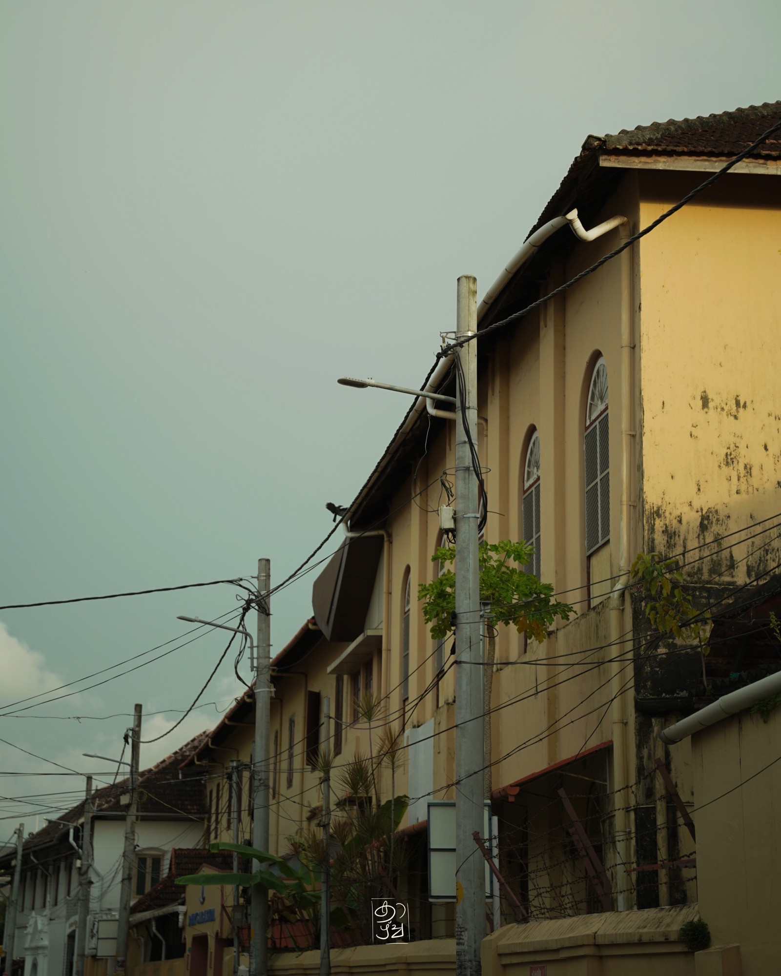 Power lines strung above a quiet street of yellow houses