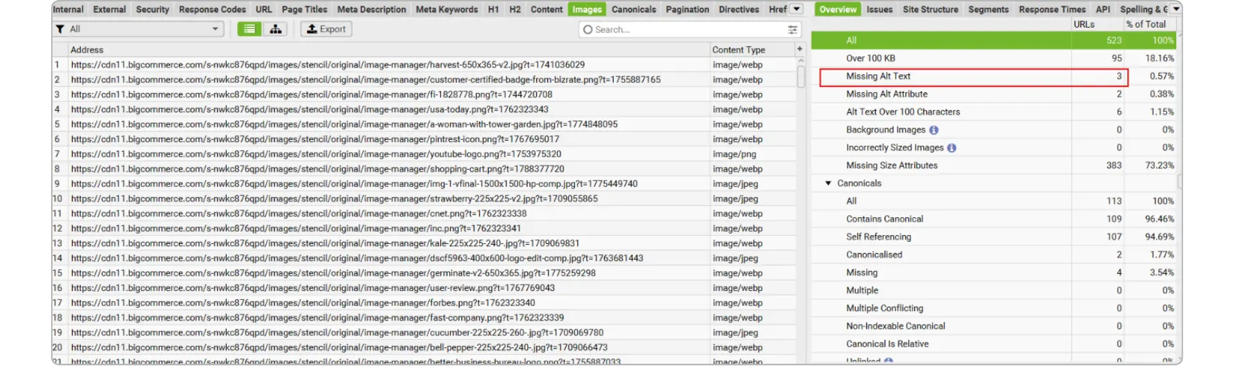 Screaming Frog dashboard showing a list of image URLs and report for missing alt text