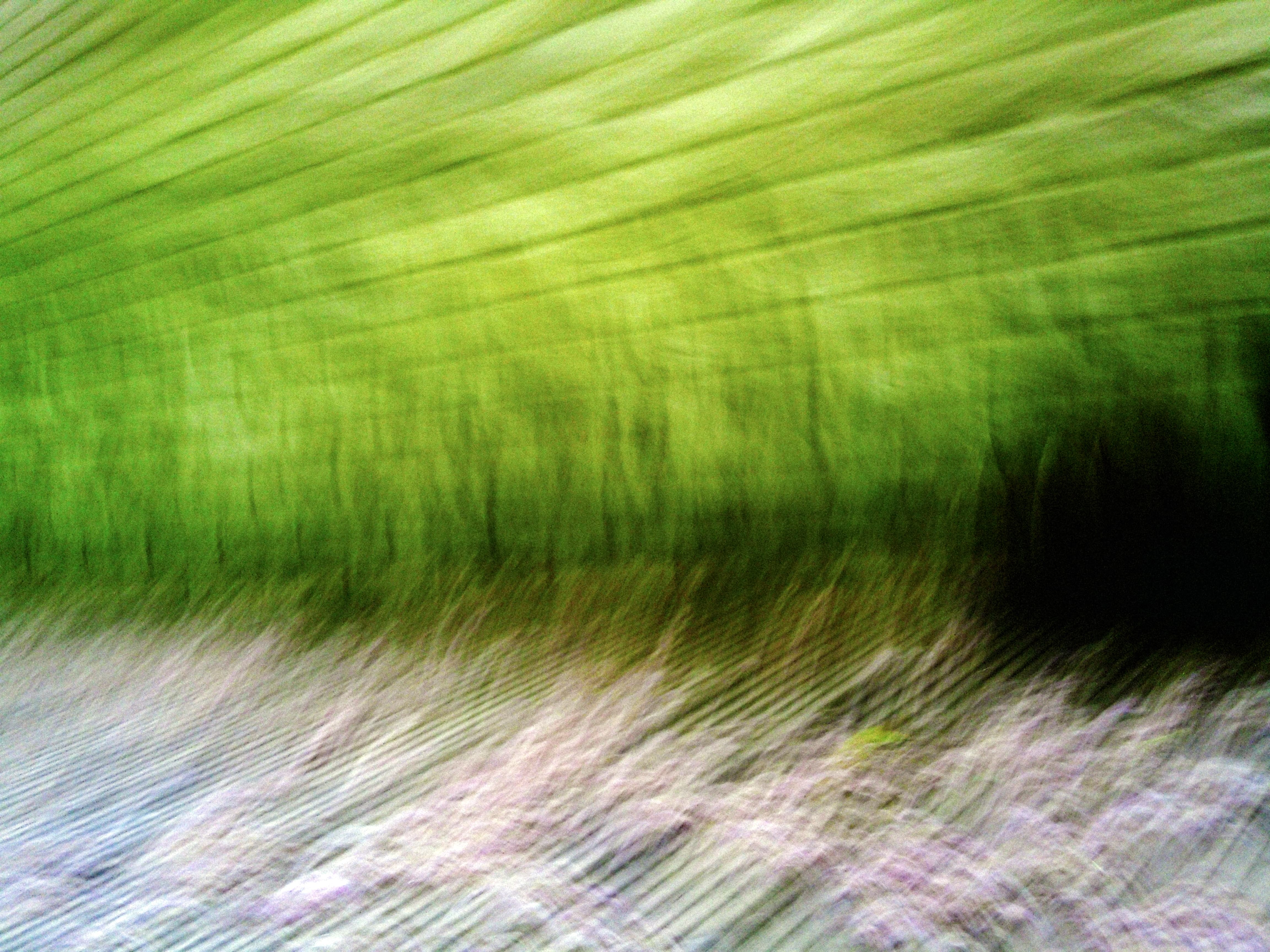 Sweeping motion blur transforms green canopy into cascading waves of lime and forest green