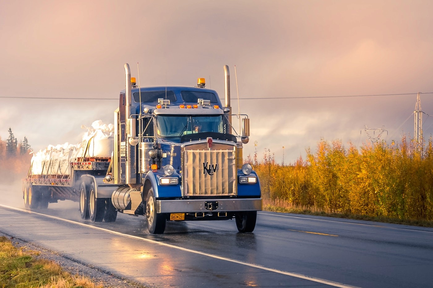 Freight truck on the road