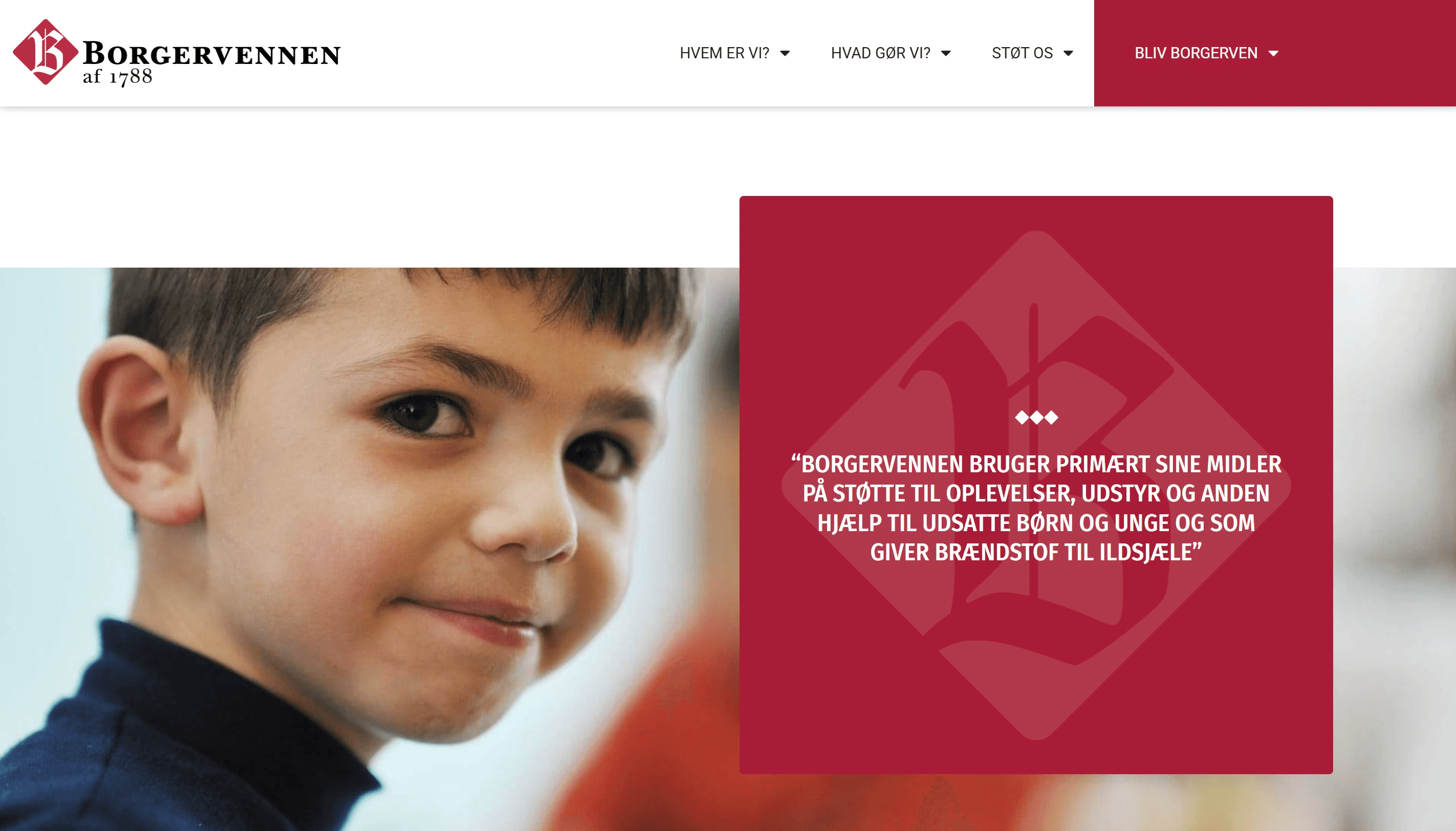 Borgervennen hjemmeside design