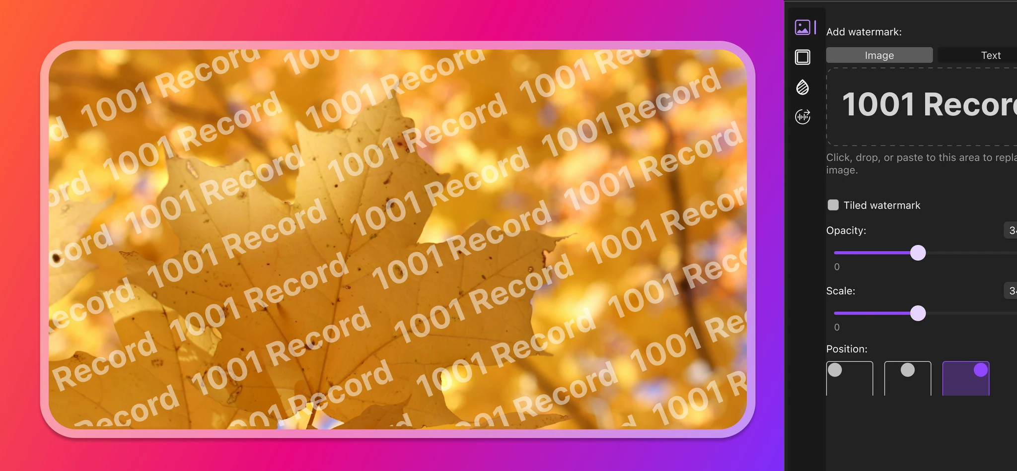 1001 record adds watermarks to screenshots