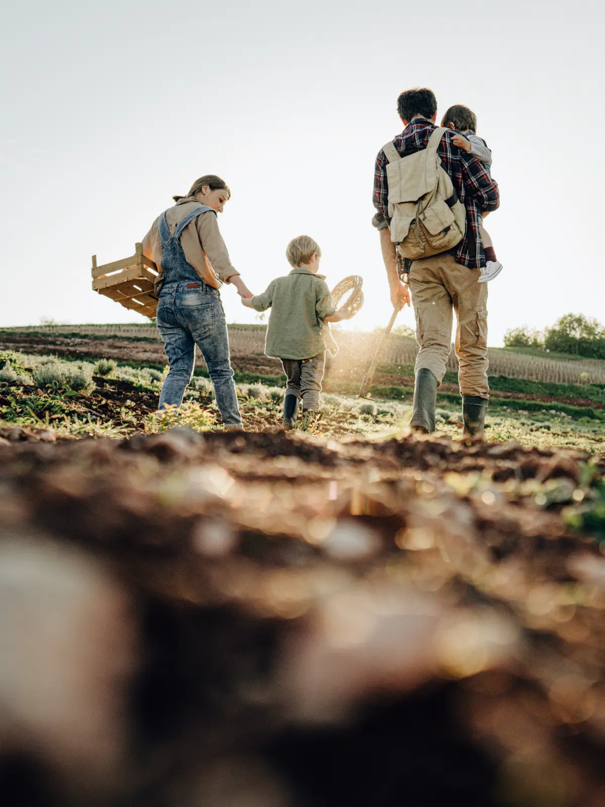 grilled meat on white ceramic plate