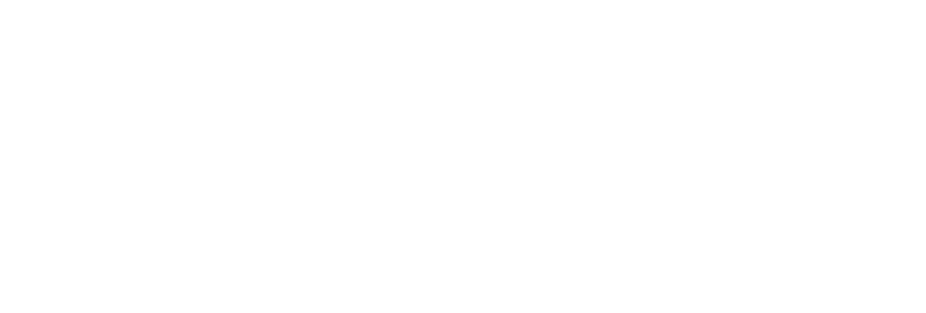 Luxury custom sofa and chairs