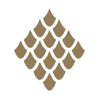 Skin Health & Aesthetics icon