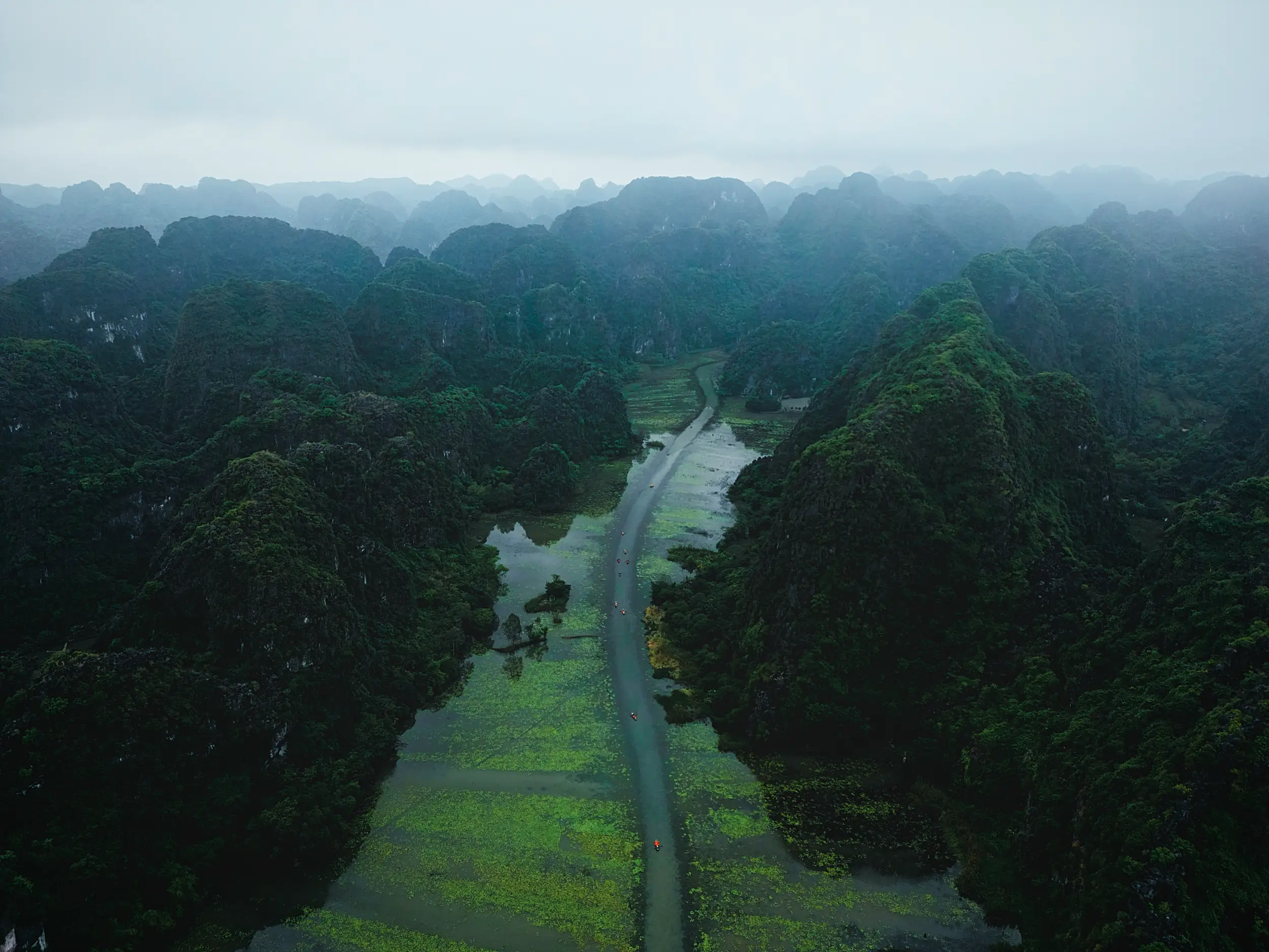 Photography Vietnam: professional shots for social media by FuturPhase.