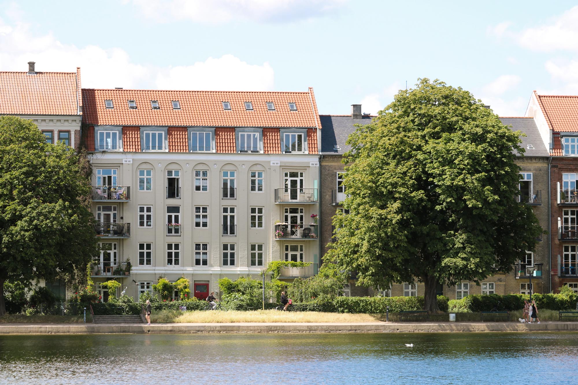 cars on road near buildings during daytime