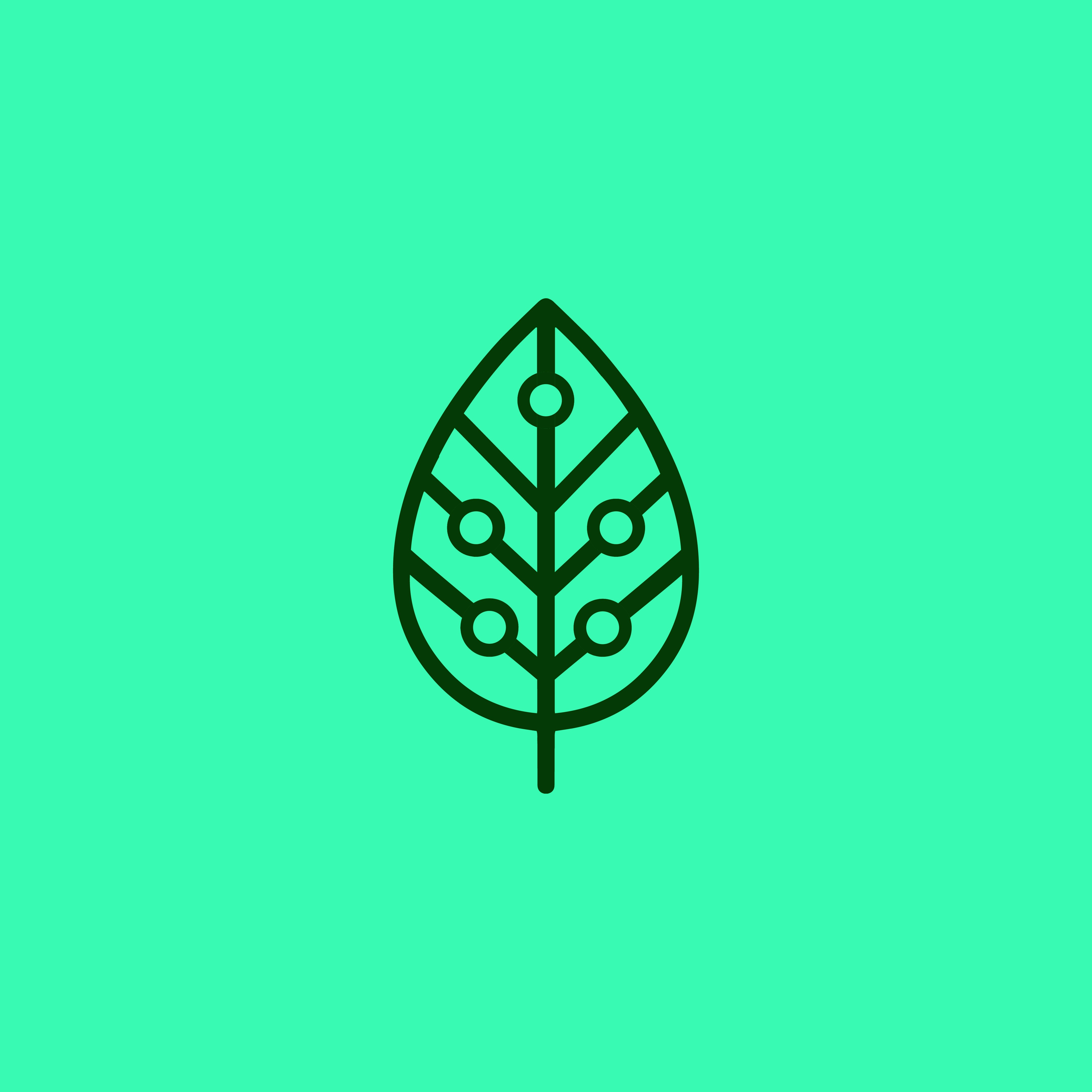 Terraverde logo