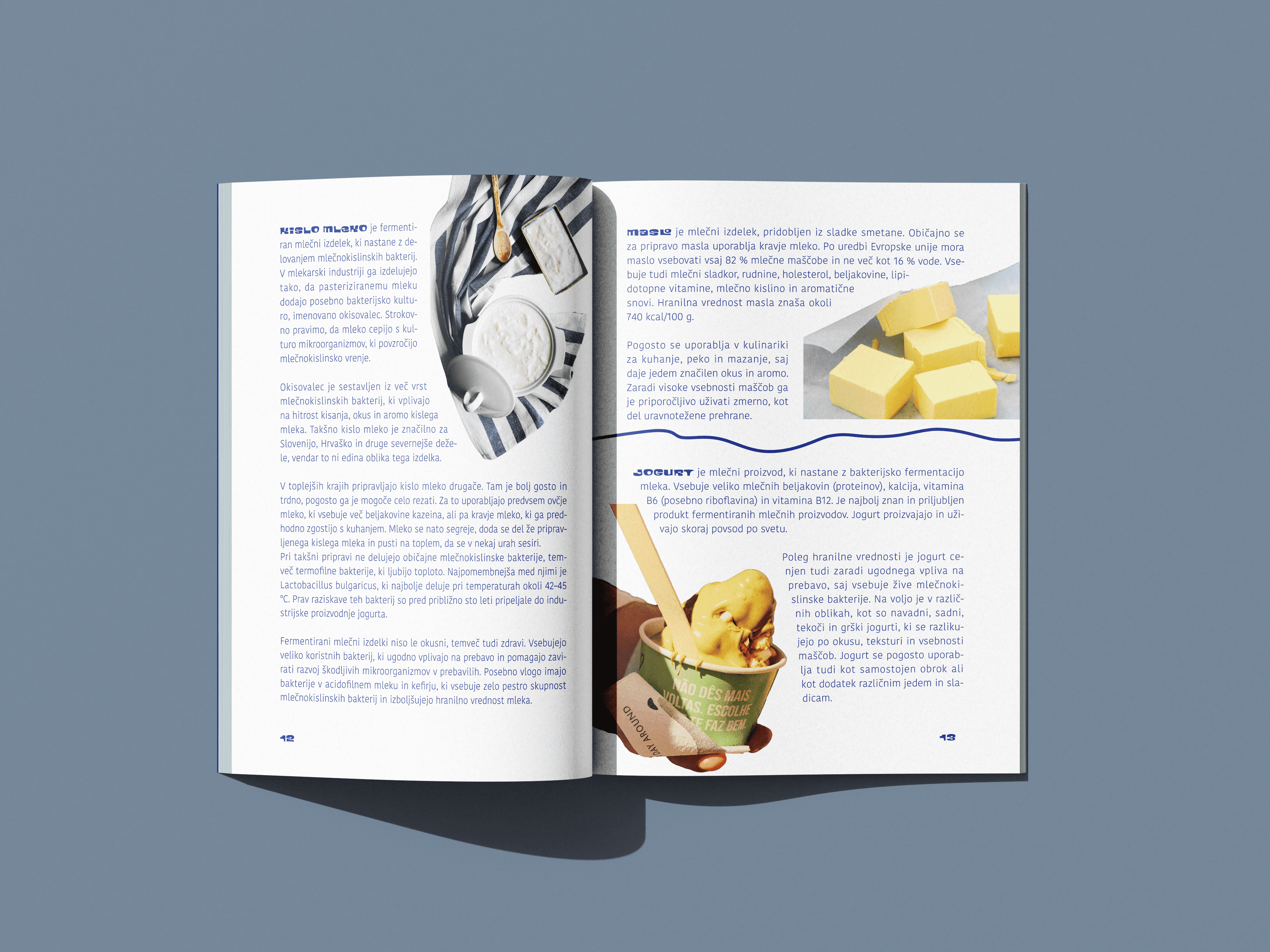 Brochure spread featuring photos of sour milk, butter cubes and yogurt with descriptions.