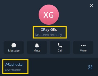 Telegram profile — username @Rayhucker (display name shown: “XRay GEx”).