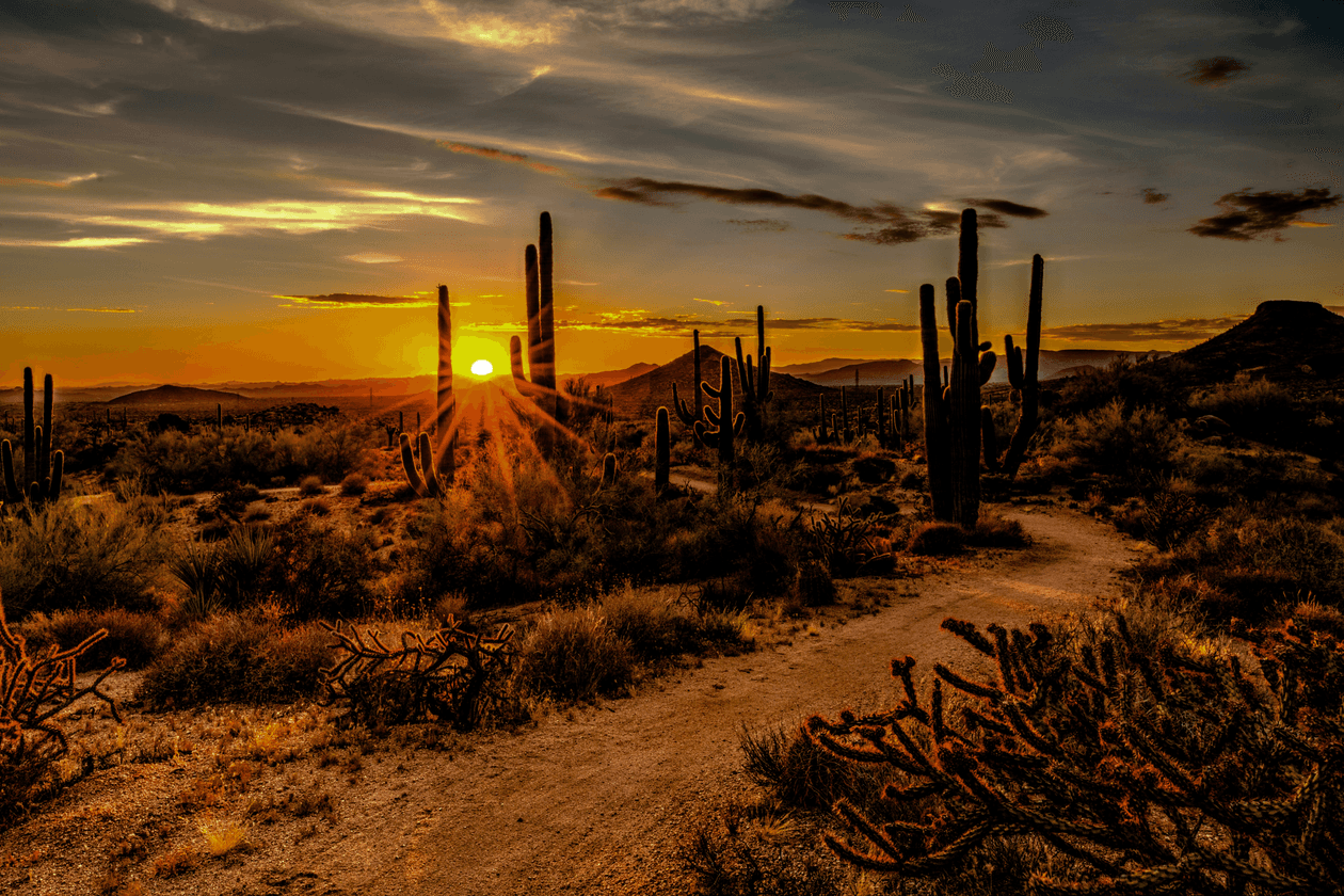 cover-best-of-vulncon-2026 (https://unsplash.com/photos/brown-and-green-grass-9-WVTrFrlWI)