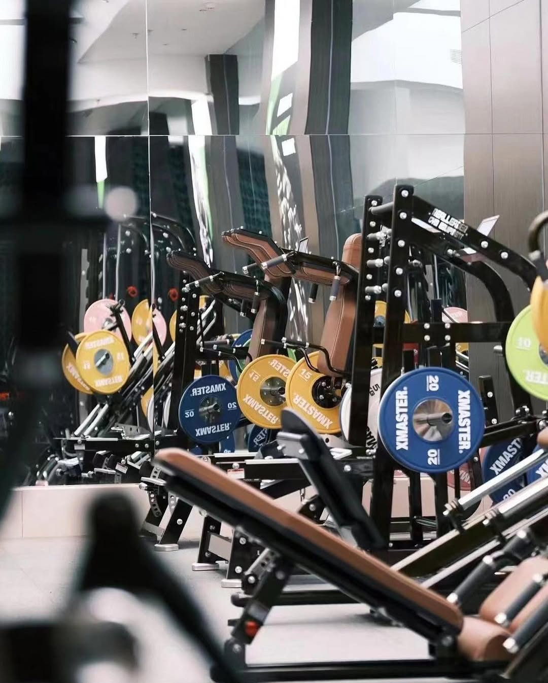 XMASTER Powerlifting Gym Solution