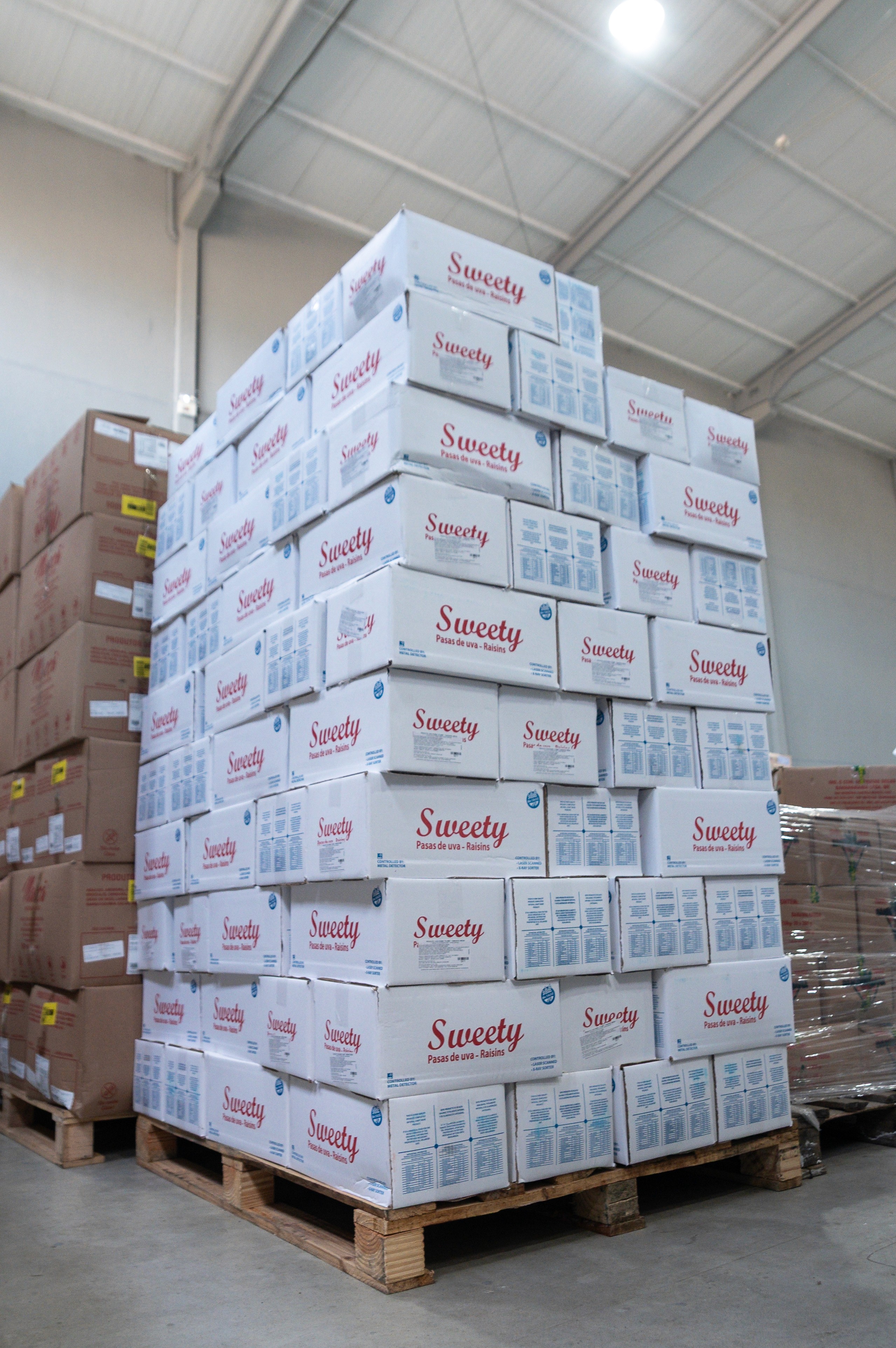Close-up of a tree stump showing growth rings and a textured brown wood surface.