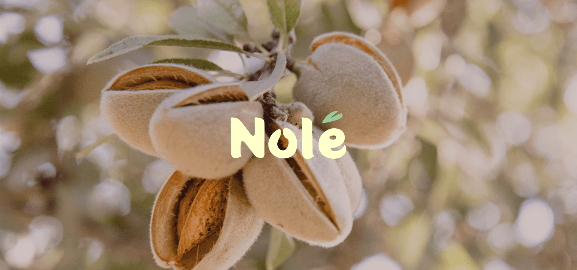 Nolé