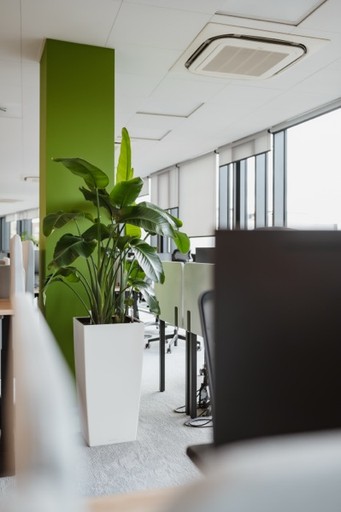 tablet wśród zielonych ścian