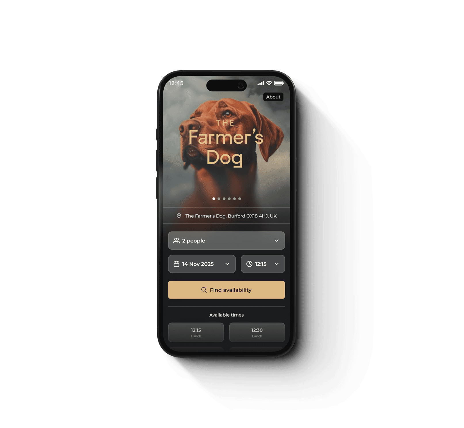 An image of Dreelio's dashboard