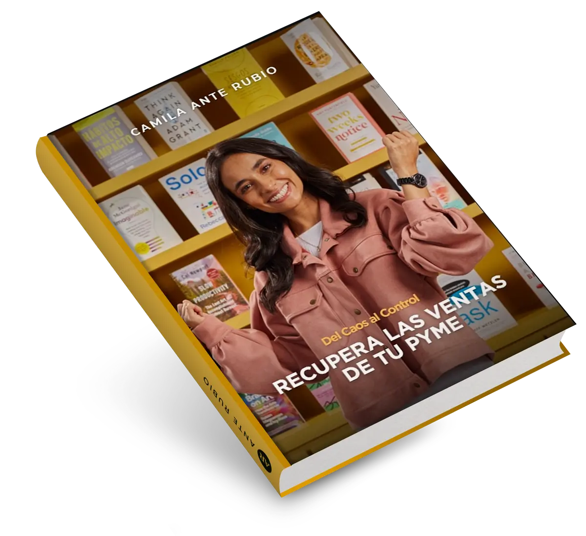 Primera versión de portada de libro con fondo claro y elementos gráficos abstractos
