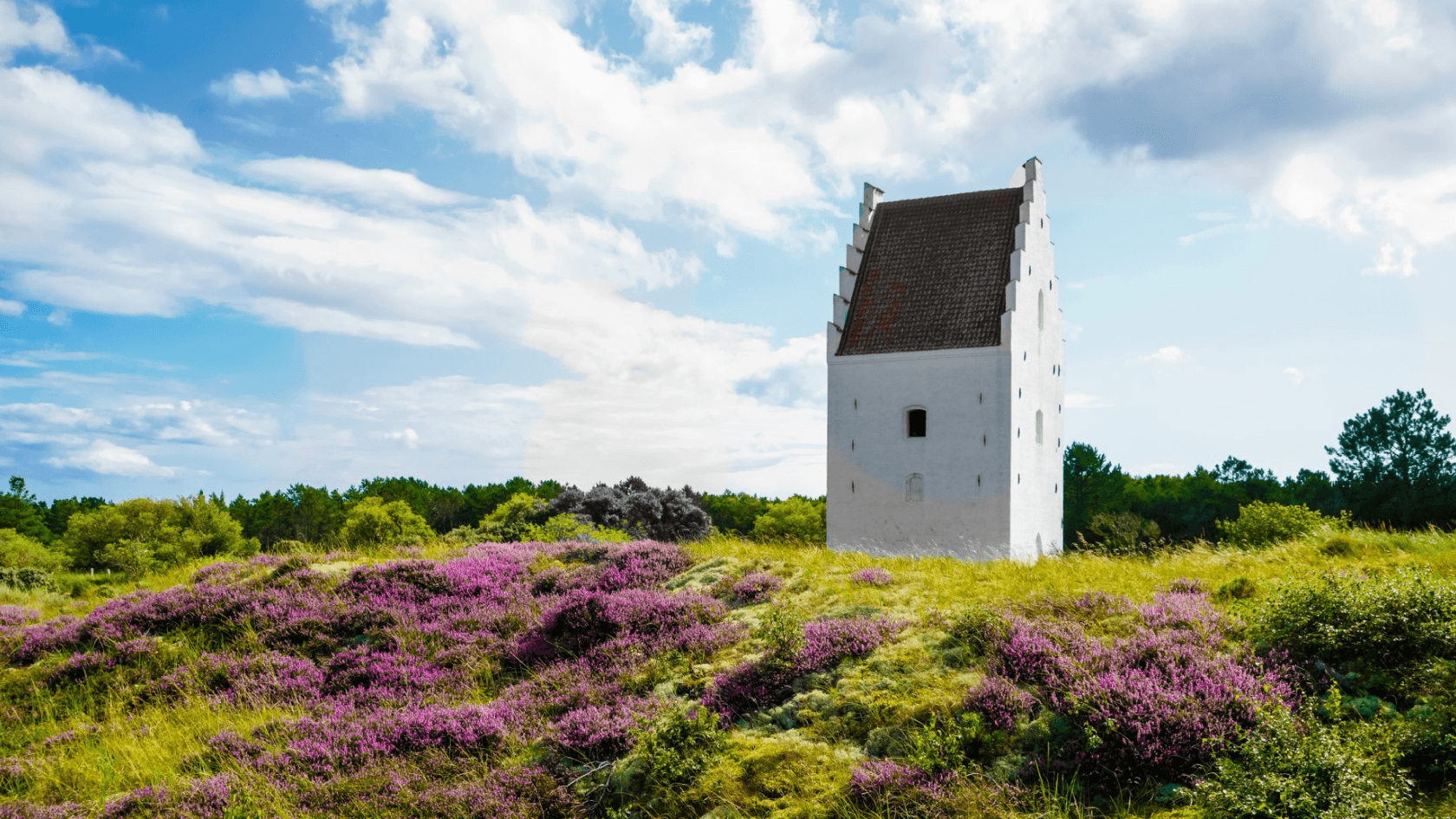 An old Danish house in a meadow