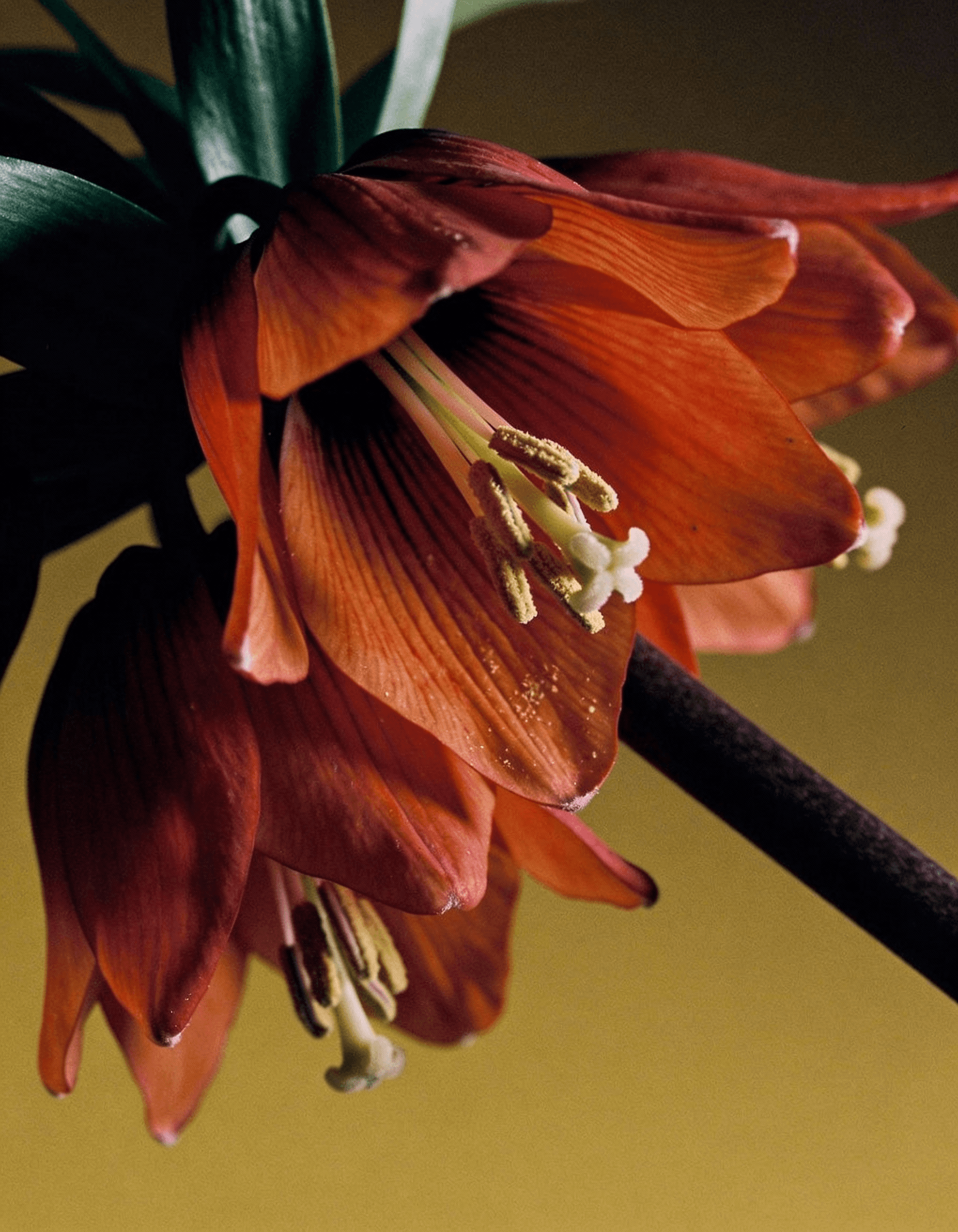 Batch.Works product catalogue book on a work top with a graphic printed image on the front