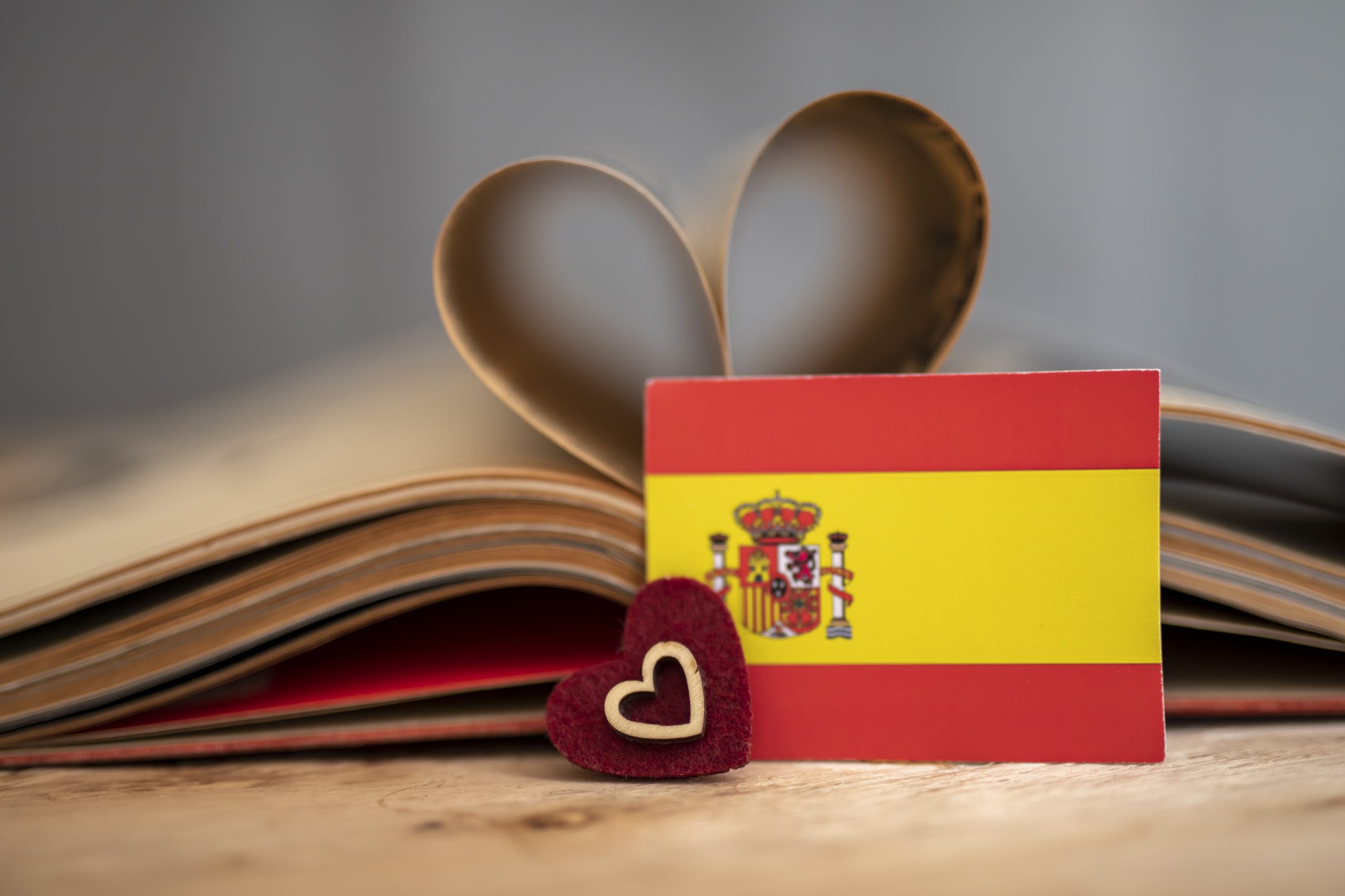 Spanish flag with book - Online Spanish Courses for Adults