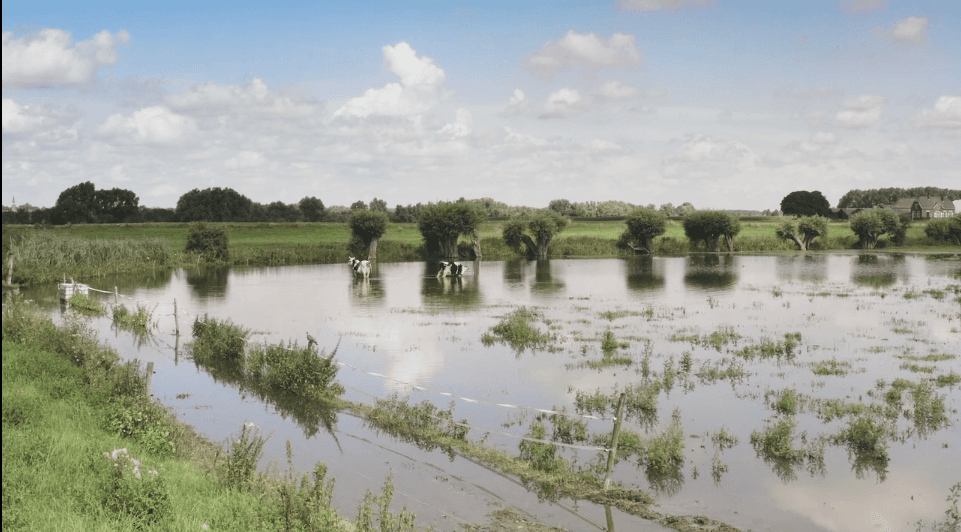 Blikonderwater Producties