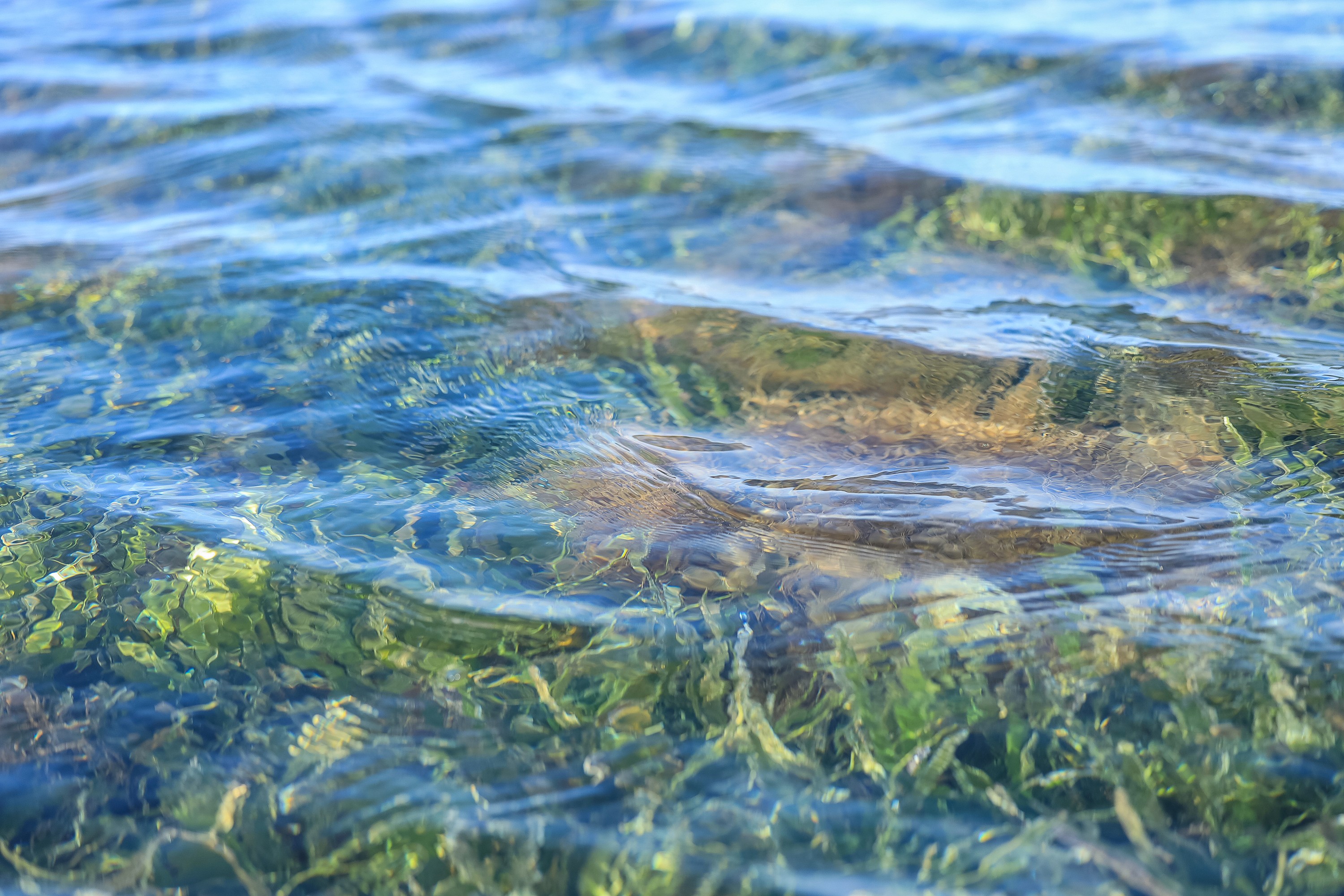 (c) Anthony Ochieng Onyango