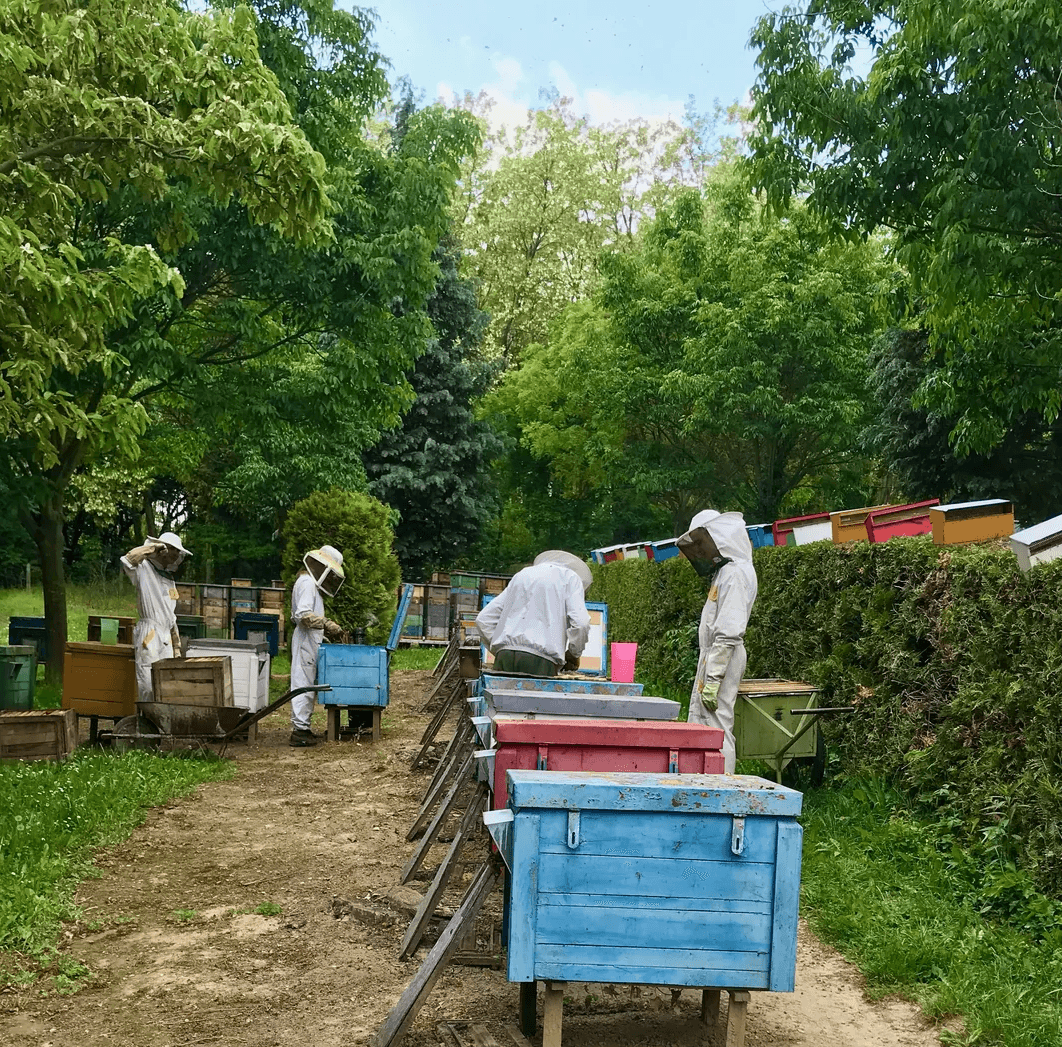 A Bazsó Méhészetnél mi a természetből alkotunk és szívből adunk.